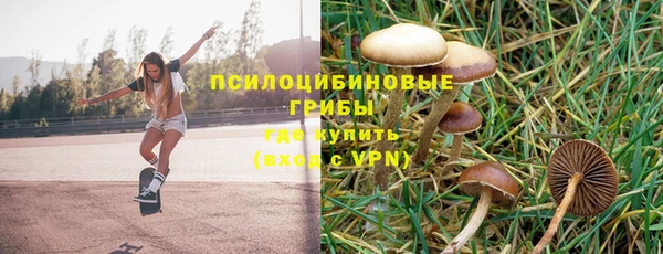 мдпв Навашино