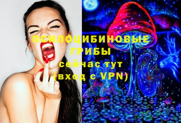 ALPHA PVP Горнозаводск